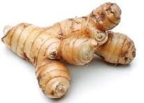 Galangal