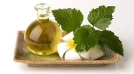 Patchouli Oil